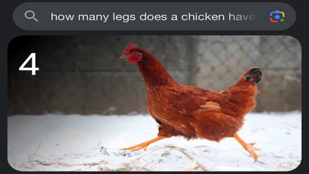 Website Owners Mock Google’s Helpful Content Update After It Shows Chickens Have 4 Legs