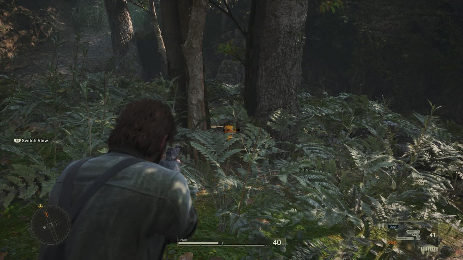 Metal Gear Solid Delta: Snake Eater – All Kerotan and GA-KO Locations