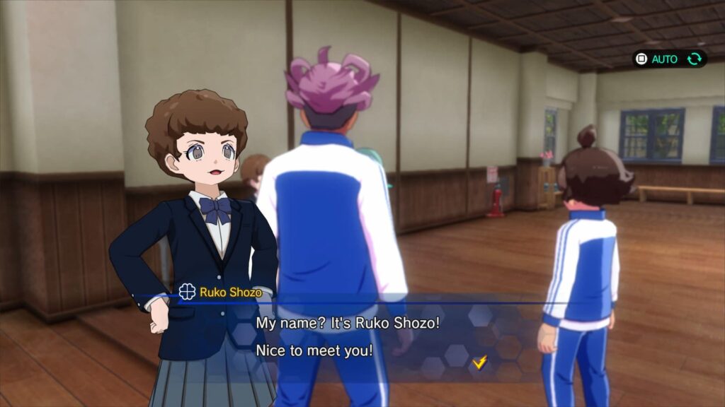 Inazuma Eleven Players 11