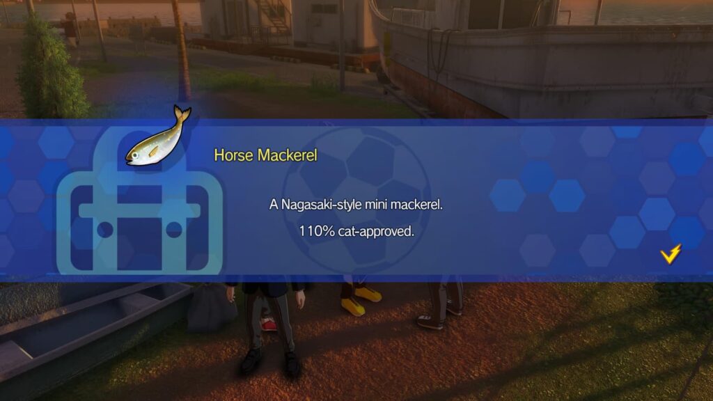 Inazuma Eleven Sidequests 69