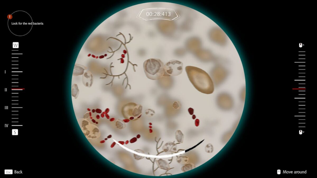Pathologic 3 Paitent Diagnoses 24
