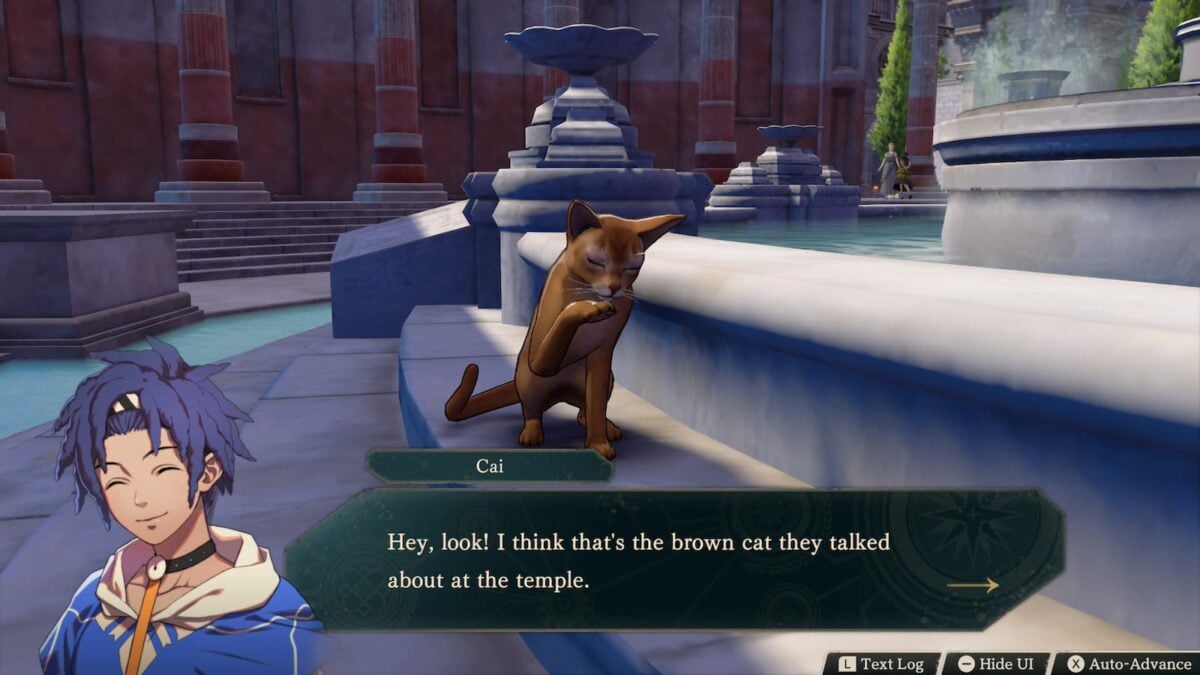 Fire Emblem Lost Cat 2