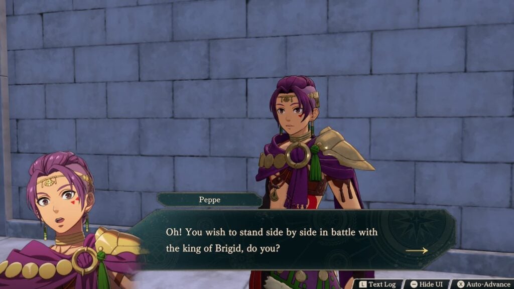 Fire Emblem Peppe 2