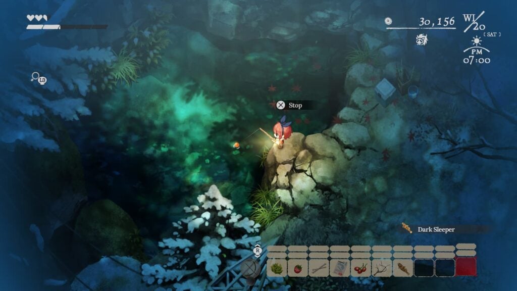 Village FIsh 1